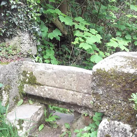 An Stor Townhouse 3* ميدليتون