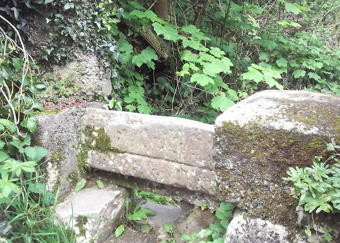 An Stor Townhouse 3* Midleton